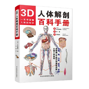 3D Žmogaus Anatomija Enciklopedija Vadovas 3D Žmogaus Anatomijos Knygos Riterio Anatomijos Atlasas Žmogaus Sistemos Anatomija ir Histologija Embriologija